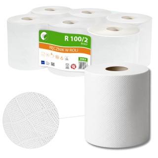 Ręcznik papierowy LAMIX Ellis ECOLINE R100/2 6 szt.